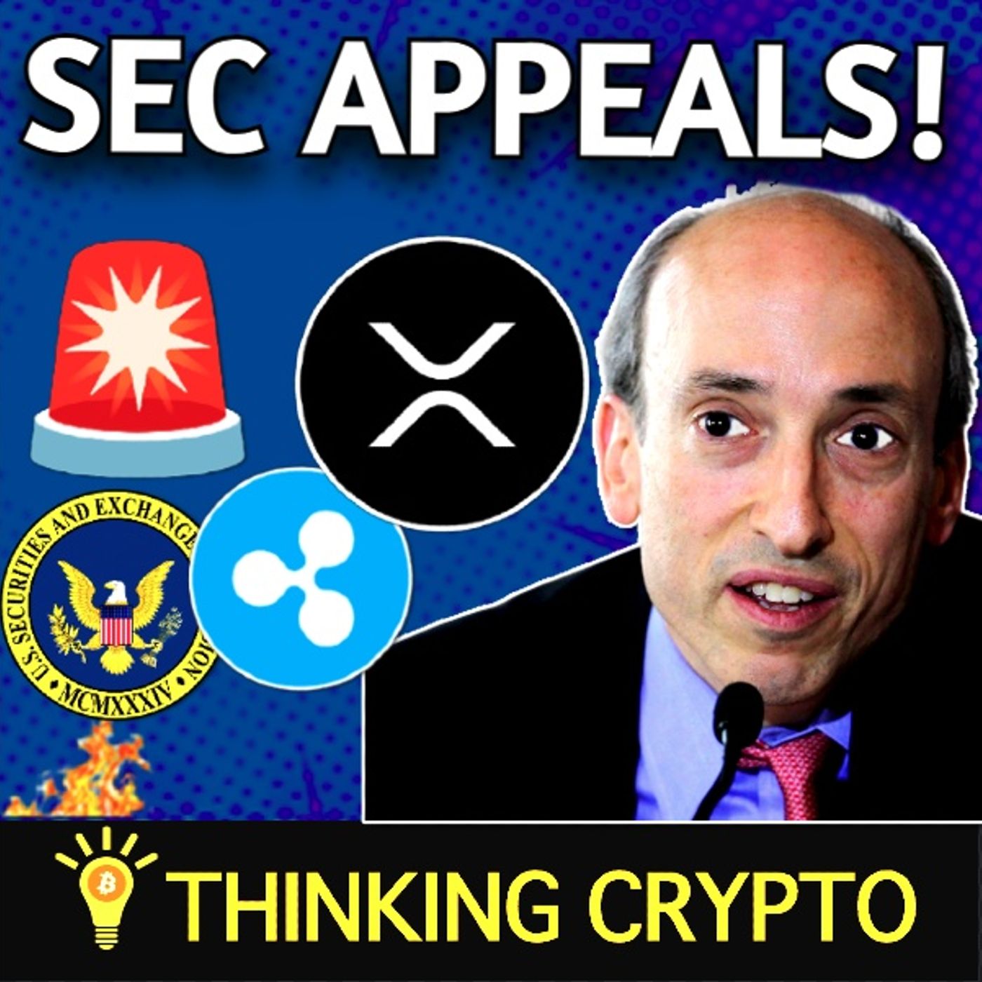 🚨WARNING! SEC APPEALS RIPPLE XRP CASE RULING & ENFORCEMENT DIRECTOR QUITS!