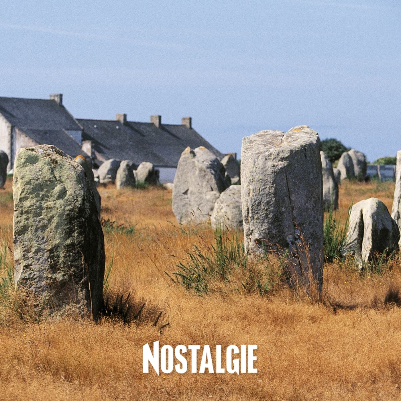 Carnac, la plage bretonne aux 3000 menhirs : sable blond, lumière changeante et souvenirs d'enfance episode artwork