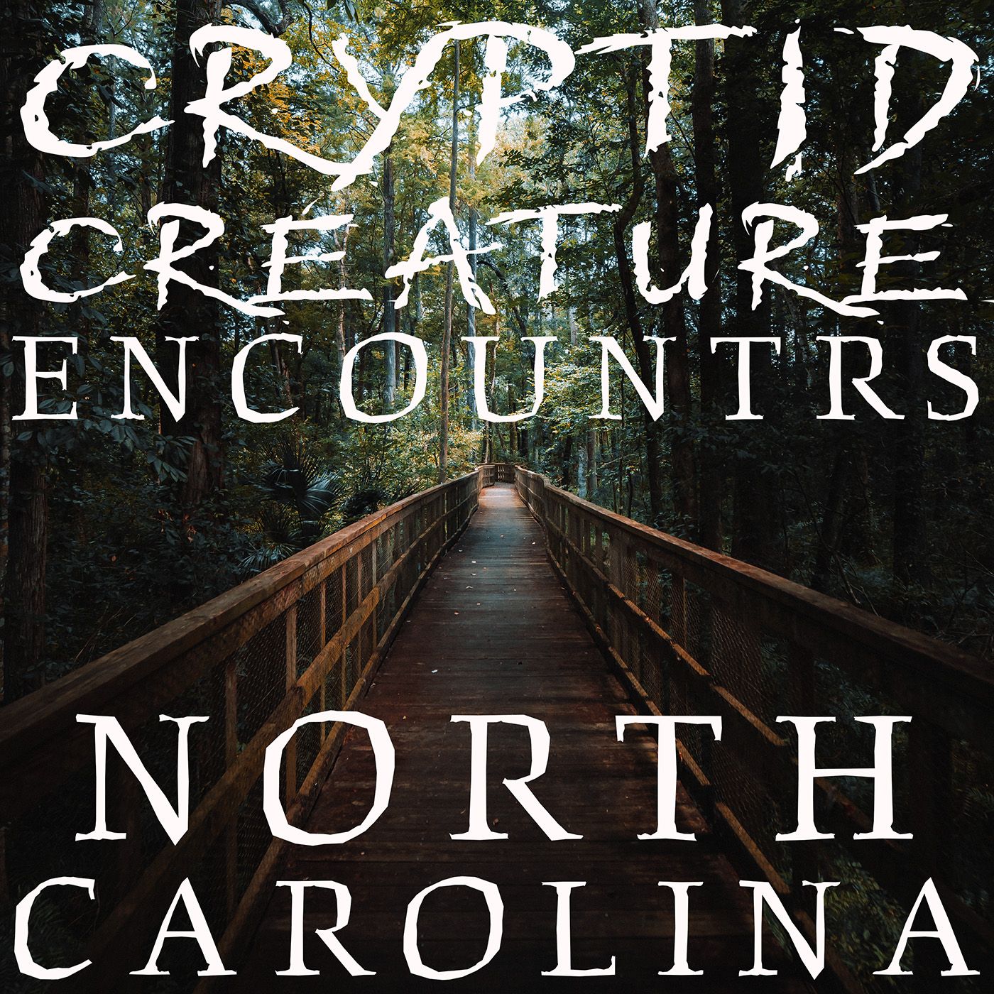 BIGFOOT AND CRYPTID ENCOUNTERS FROM NORTH CAROLINA | A BLESSING OR A CURSE!