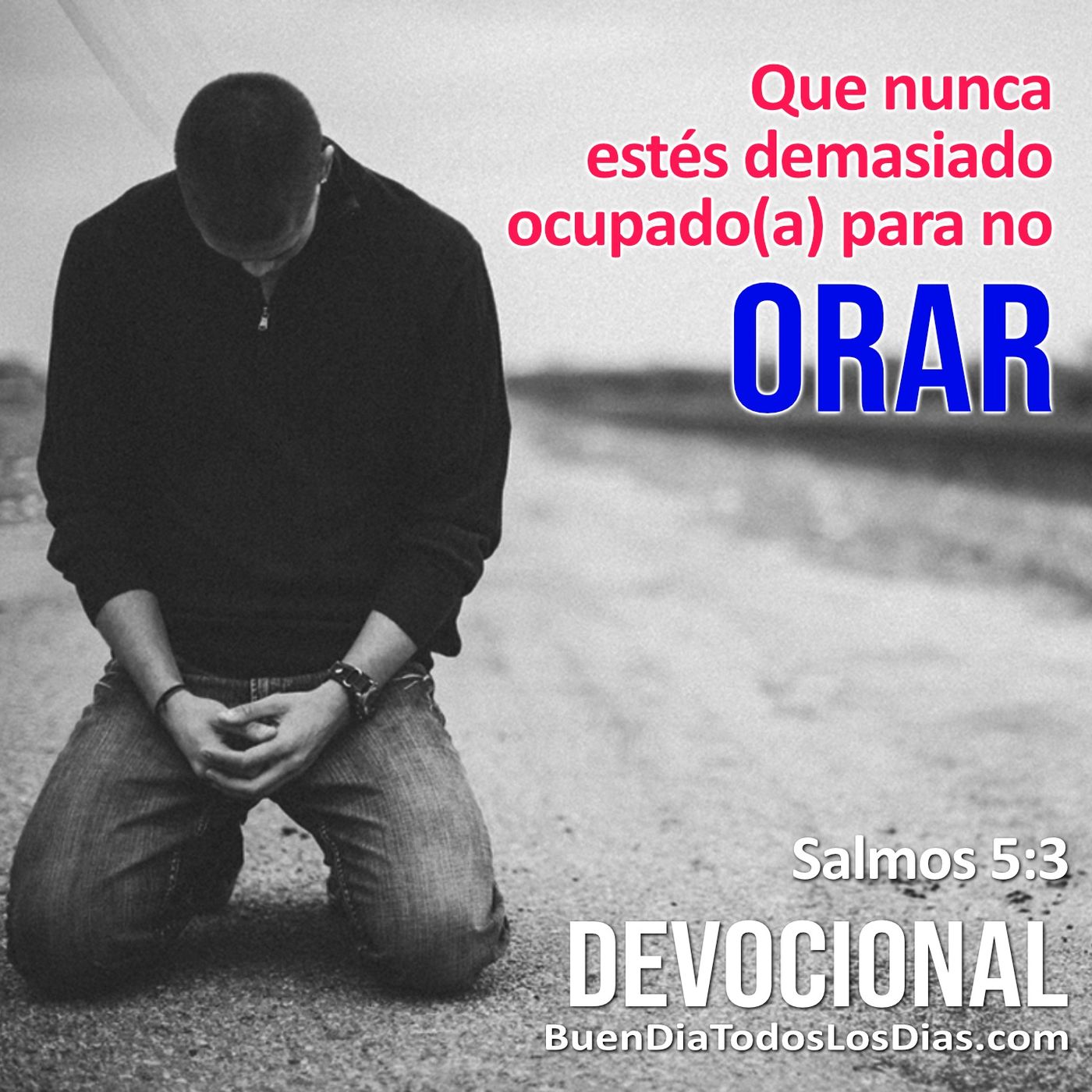¿Demasiado ocupados? episode artwork
