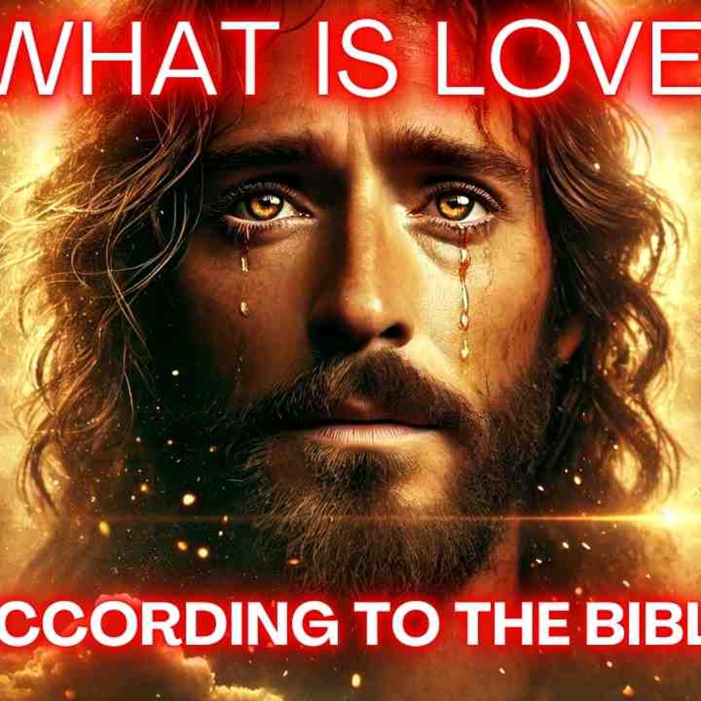 Want to UNDERSTAND LOVE_ Watch This Now