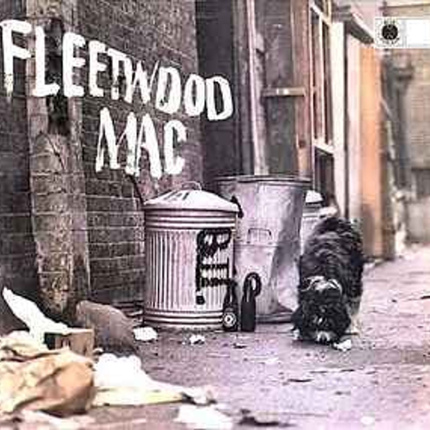 1. DAY BY DAY: FLEETWOOD MAC - PETER GREEN'S FLEETWOOD MAC episode artwork