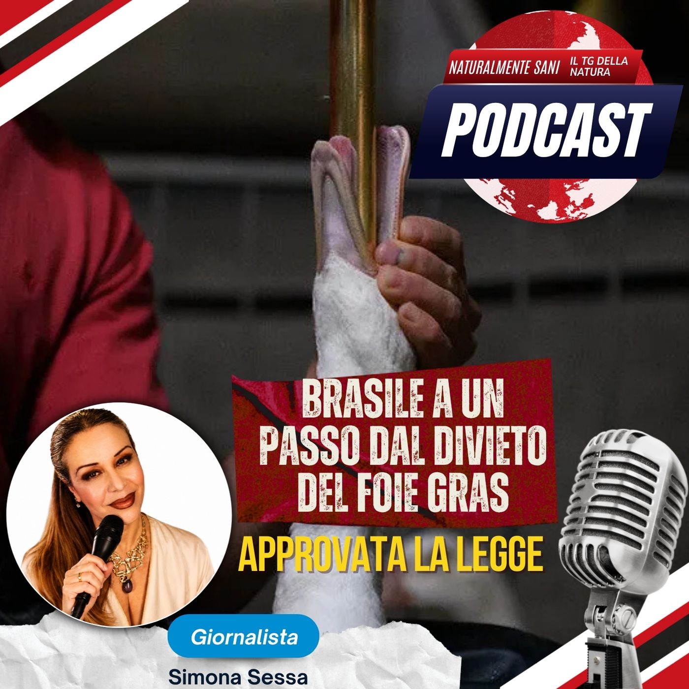 Brasile a un passo dal divieto del foie gras: approvata una legge contro l’alimentazione forzata - Il TG della Natura episode artwork