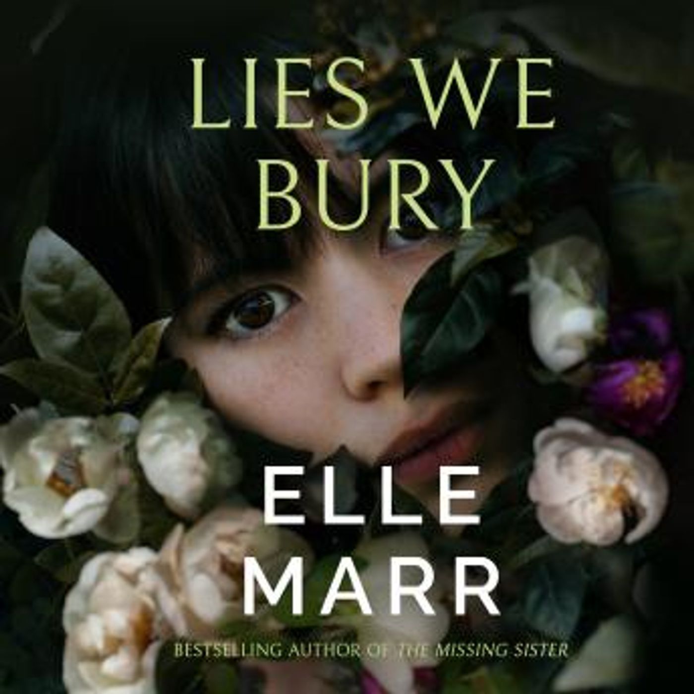 Lies We Bury by Elle Marr episode artwork