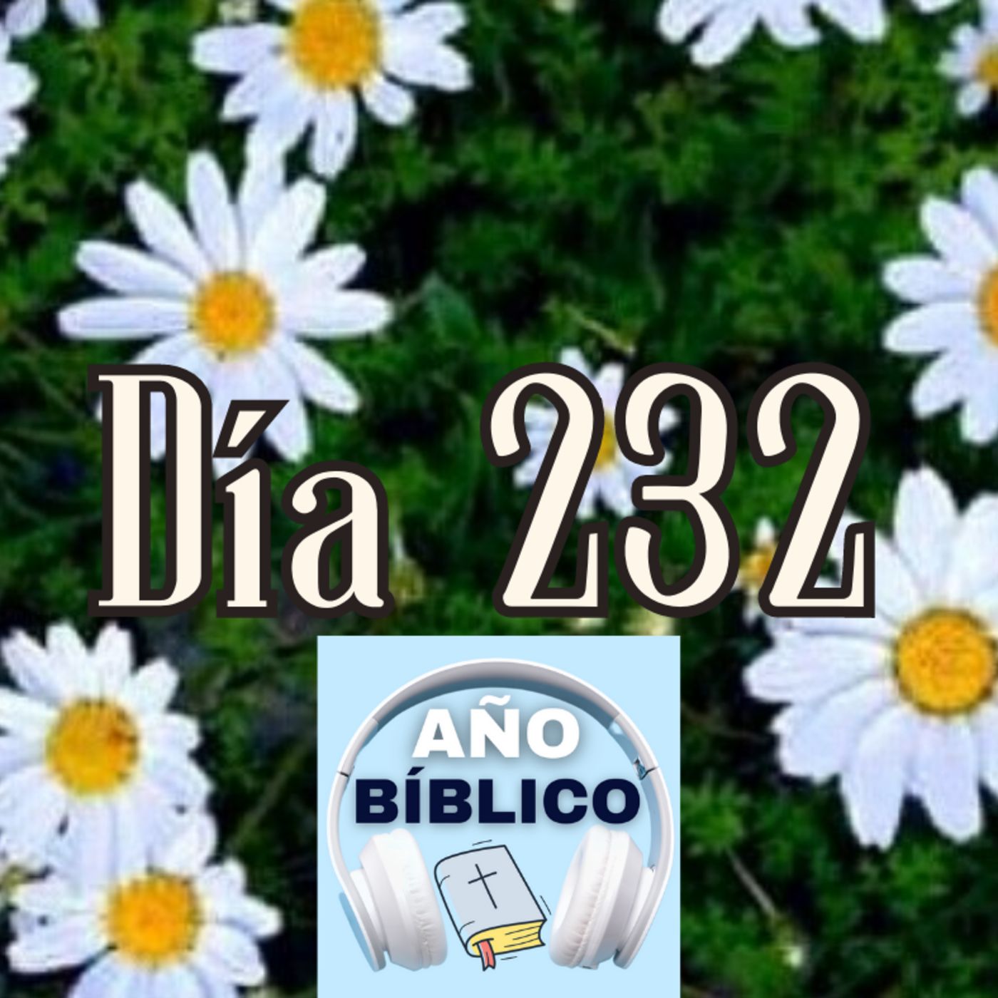 Día 232 - Salmo 95:8-11, Proverbios 4-7 y 1 Corintios 14:1-9 episode artwork