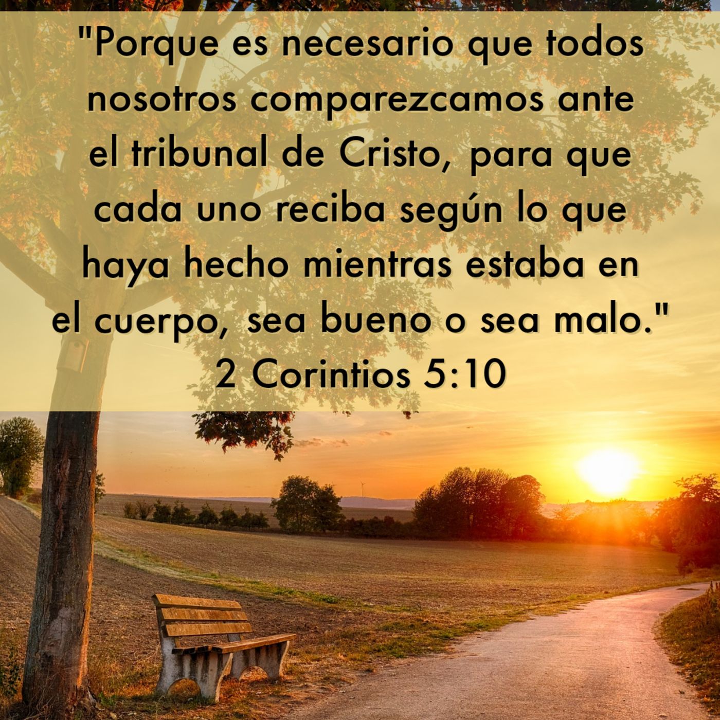 Ministerio UMCD - Un Momento Con Dios | Reflexiones Cristianas