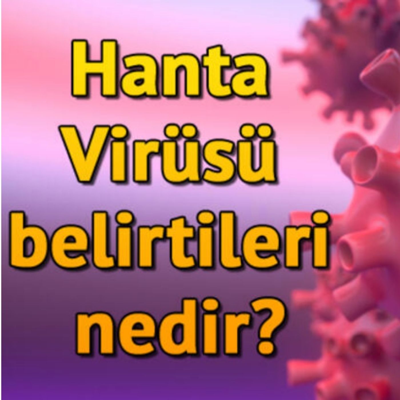 ALPER ALTUN