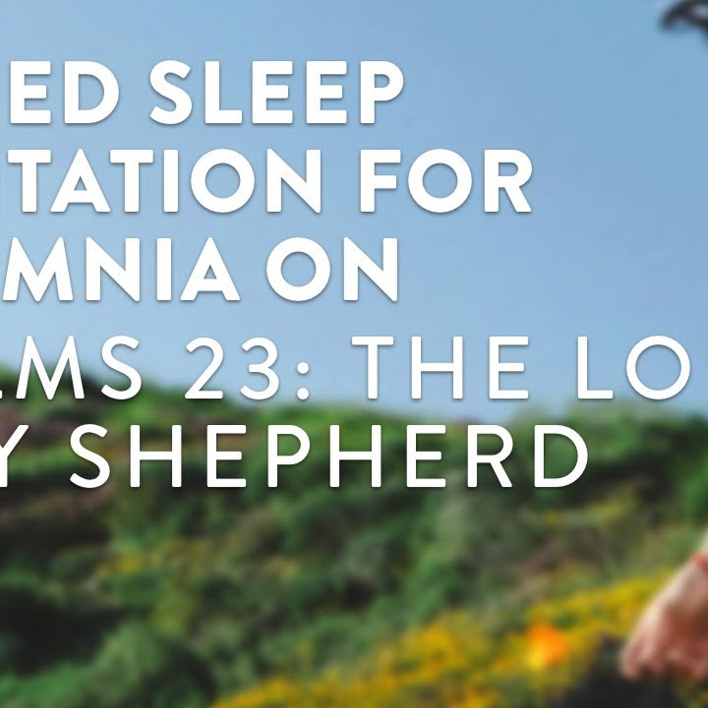 Guided Sleep Meditation for Insomnia on Psalms 23_ The Lord Is My Sheperd (4 hrs episode artwork