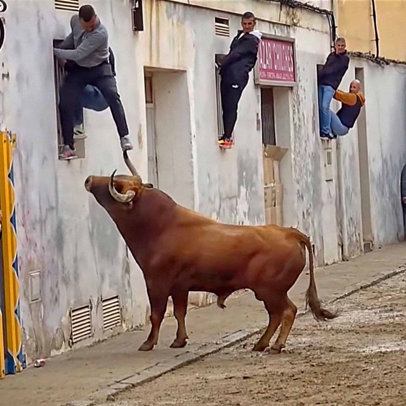 Hablemos de Toros