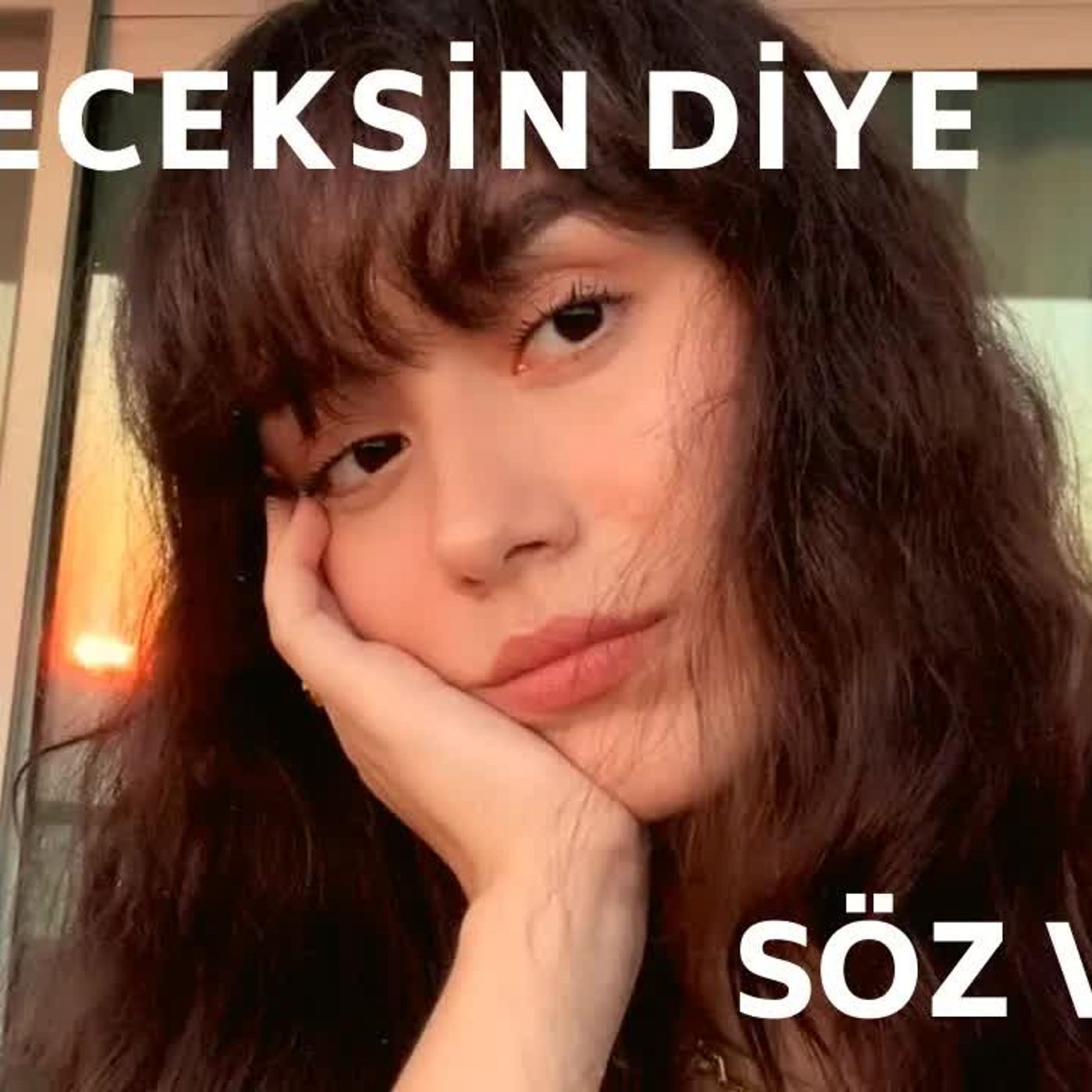 Döneceksin Diye Söz Ver Ayça Özefe episode artwork