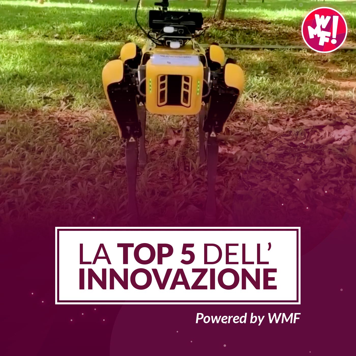 Un cane robot  per mantenere il distanziamento sociale - #6 episode artwork