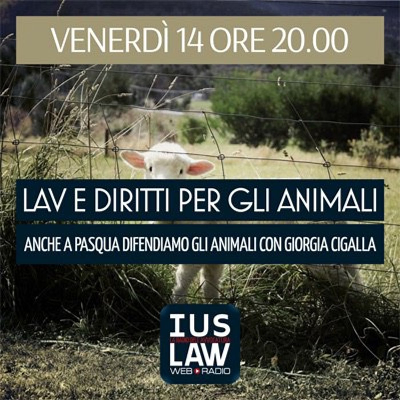 LAV - SPECIALE - Diritti per gli Animali - Anche a Pasqua difendiamo i diritti degli Animali episode artwork