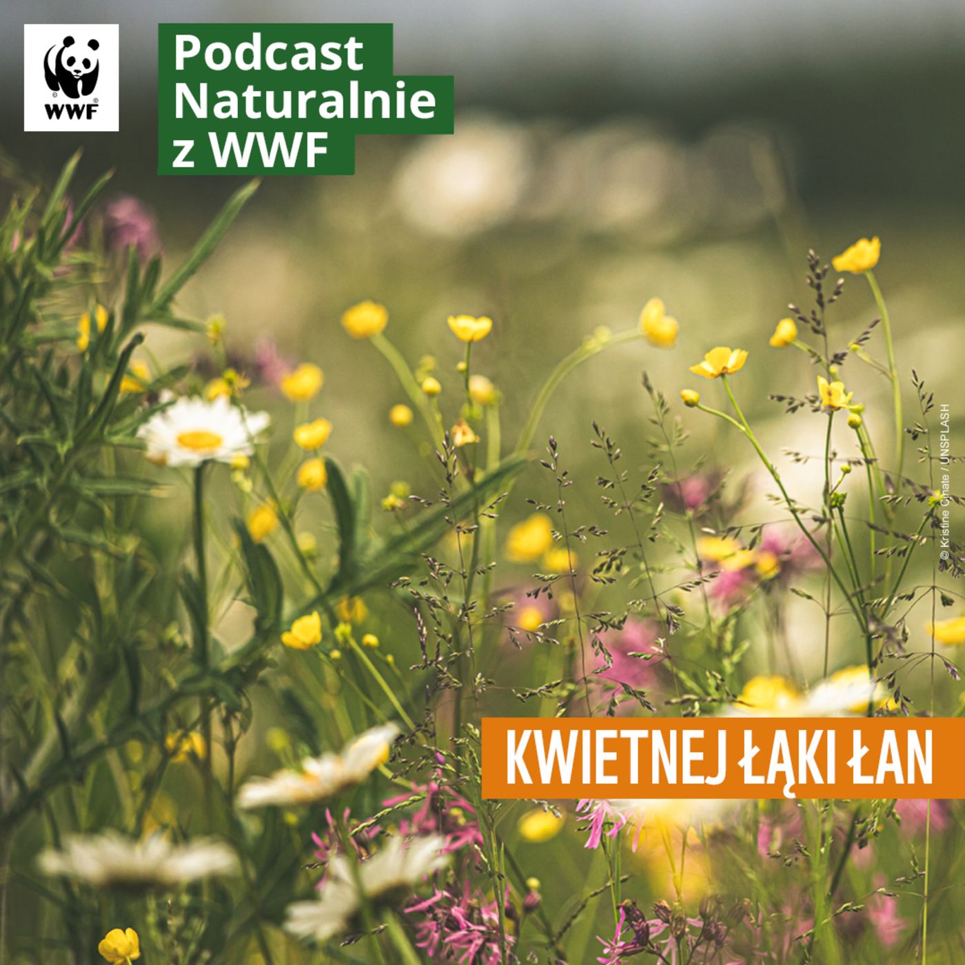 Naturalnie z WWF