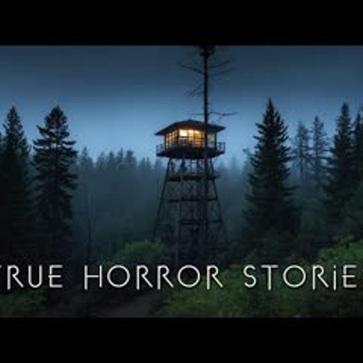 3 Creepy True Alone in the Woods Horror Stories episode artwork
