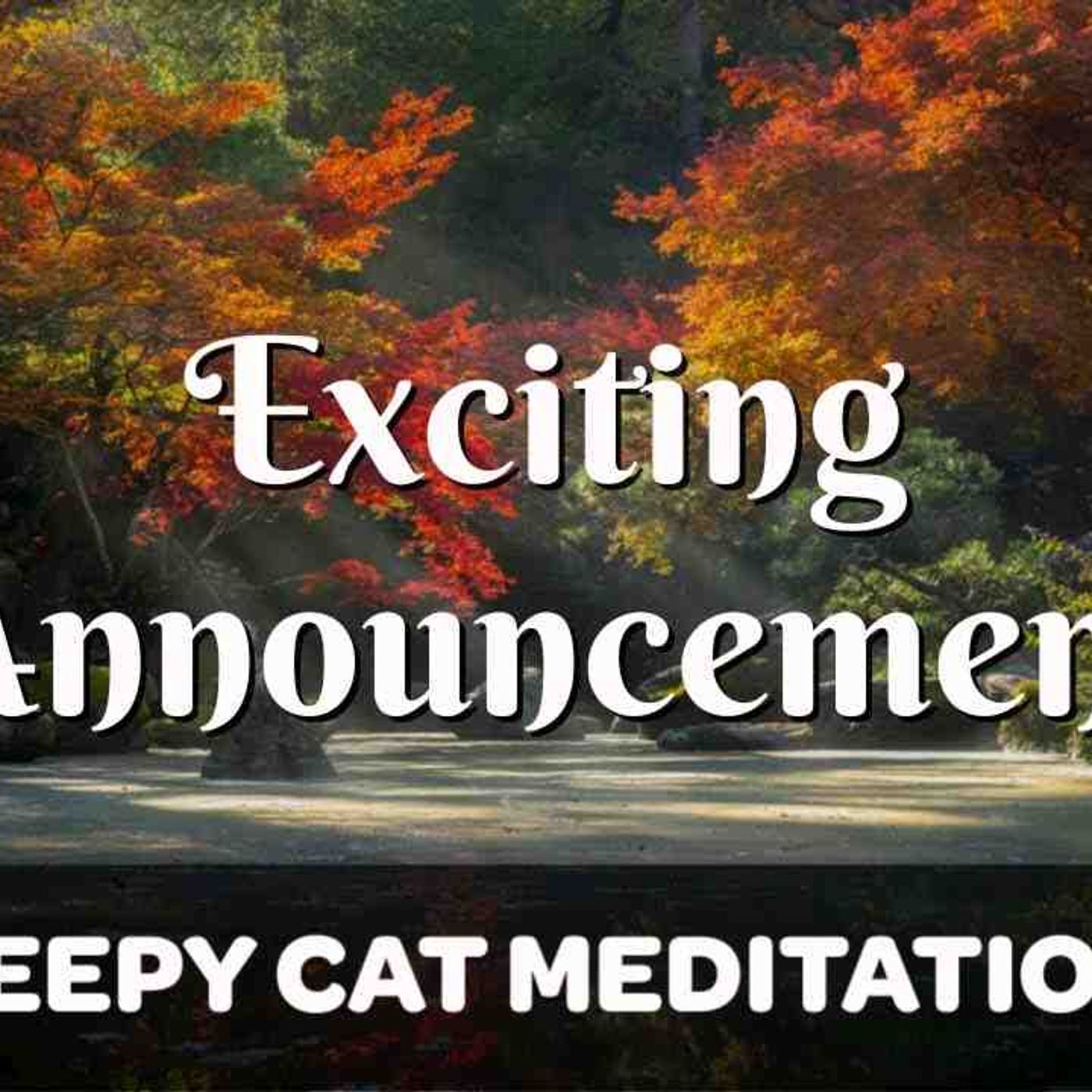 Exclusive Sleepy Cat Content 🐈 Ad-Free Collection _ More (Patreon 2023) episode artwork