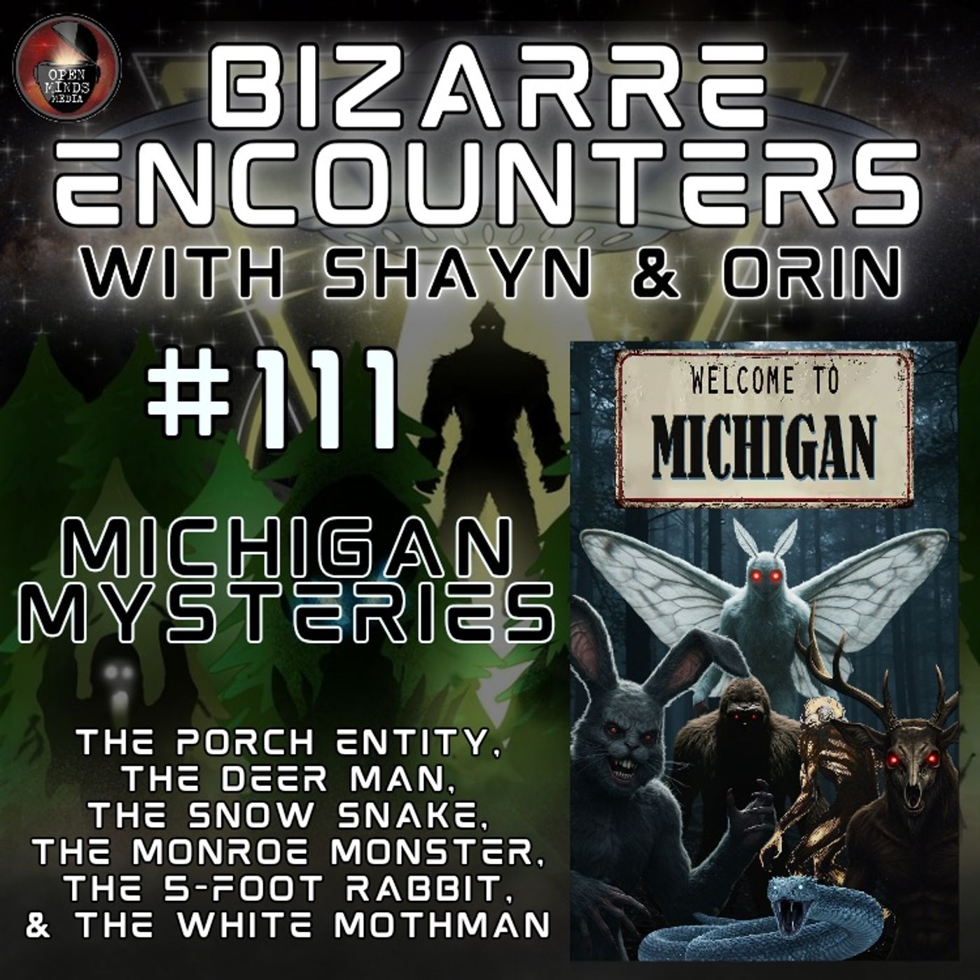 #111 Michigan Mysteries