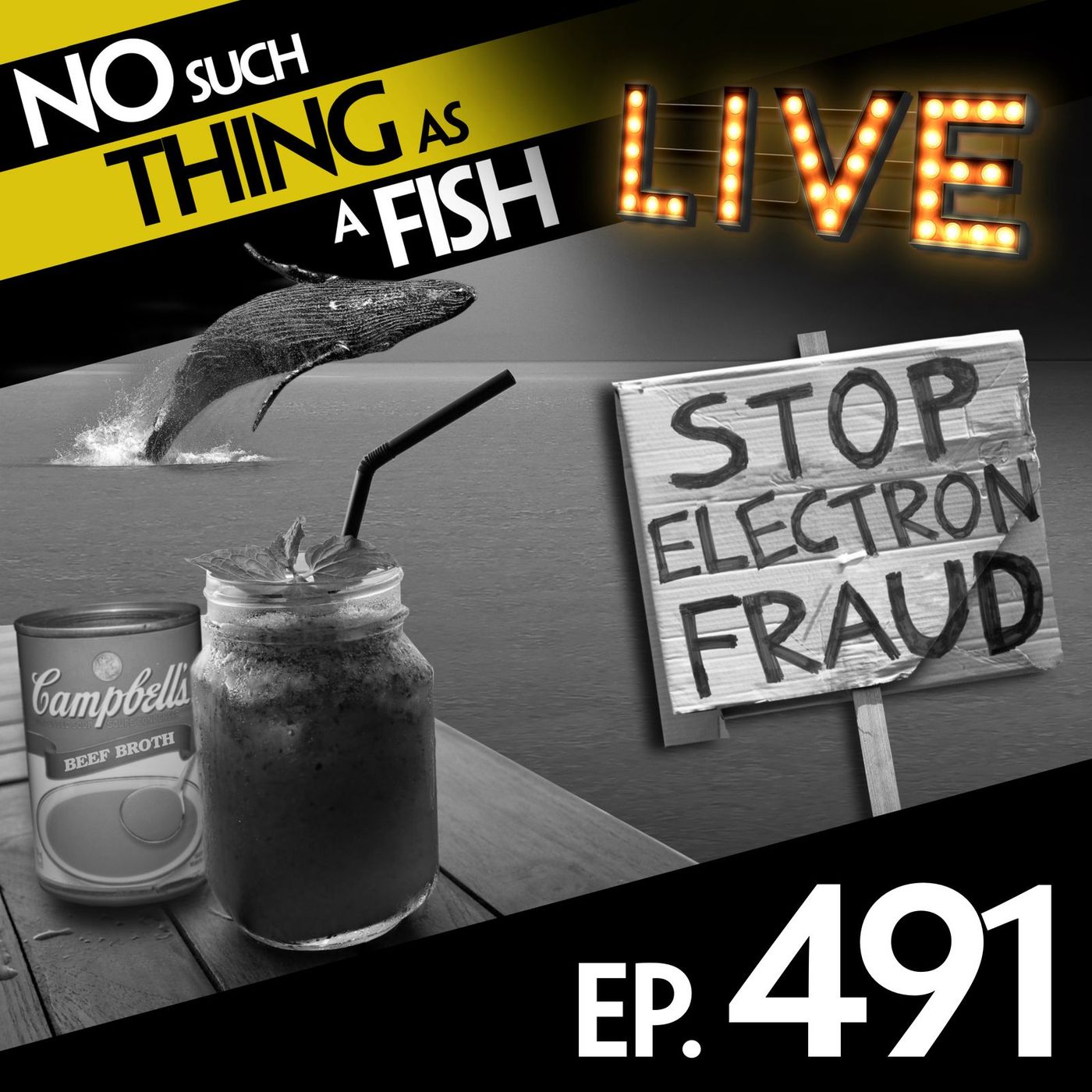 No Such Thing As A Fish