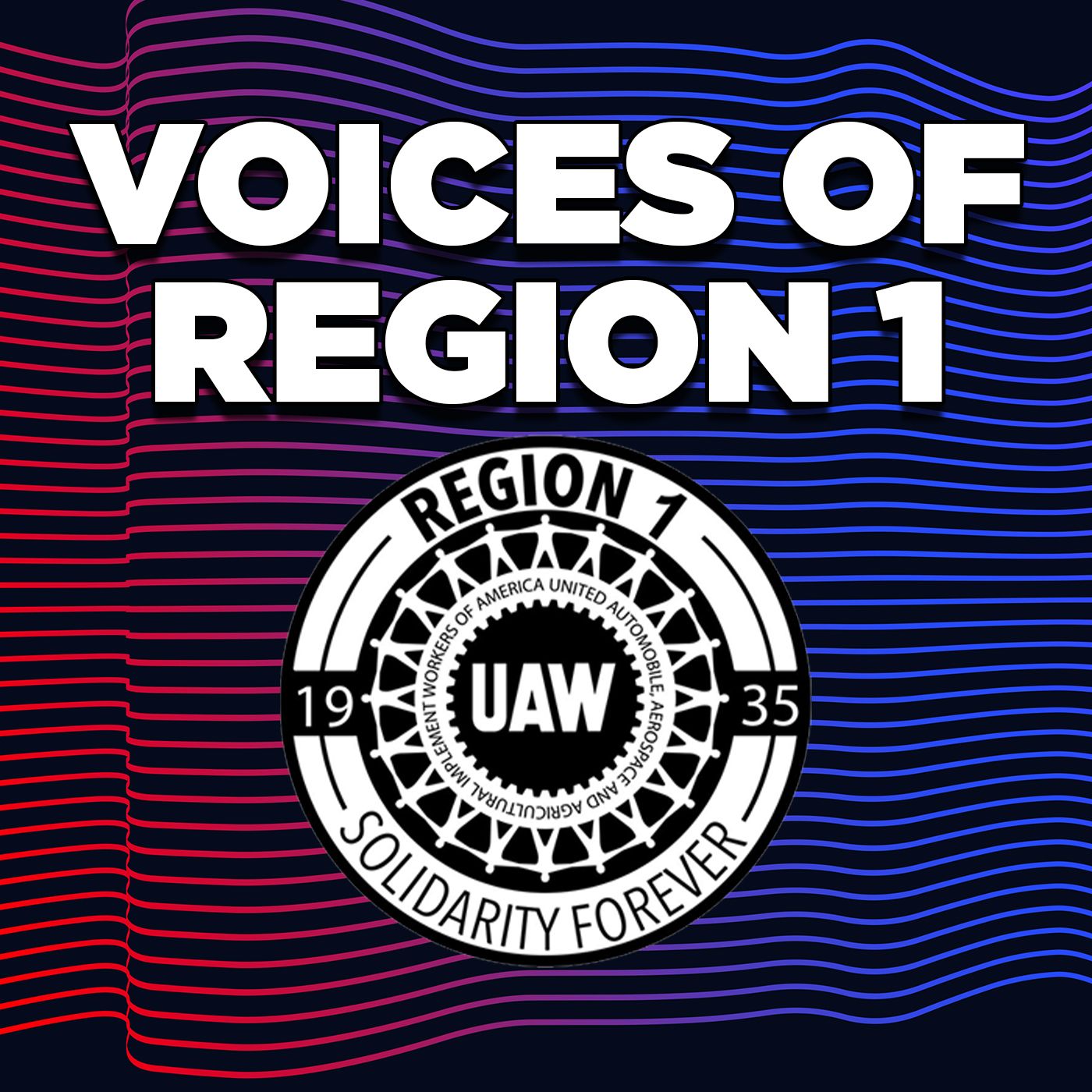 Voices of Region 1