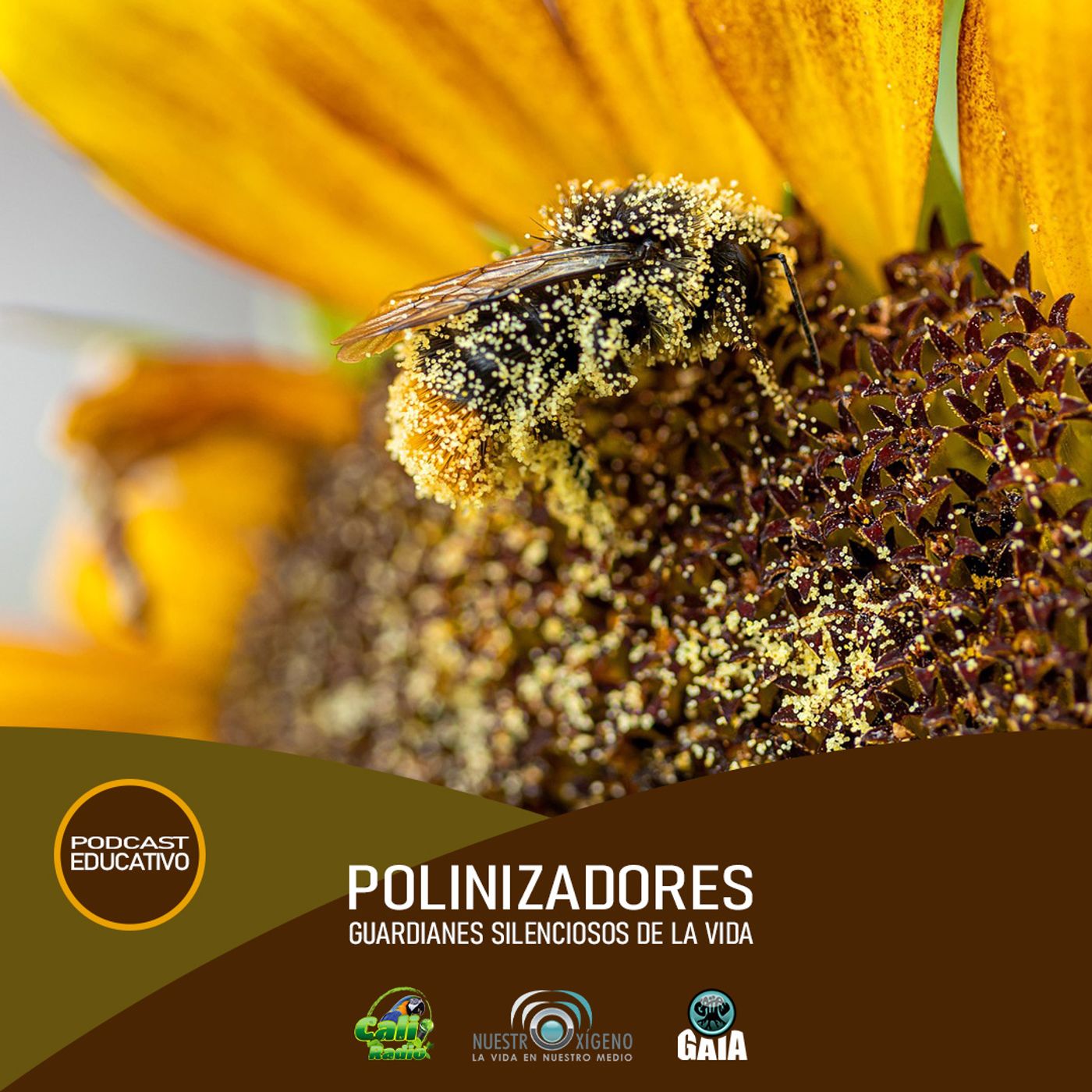 2024 Nuestro Oxigeno 01- Enero