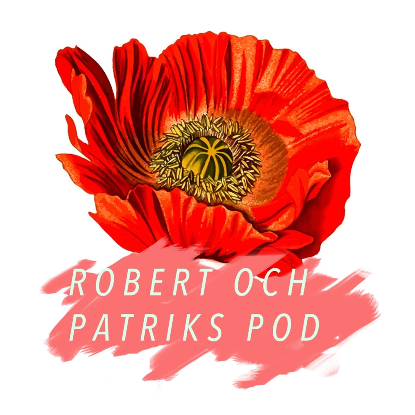 Robert och Patriks Pod