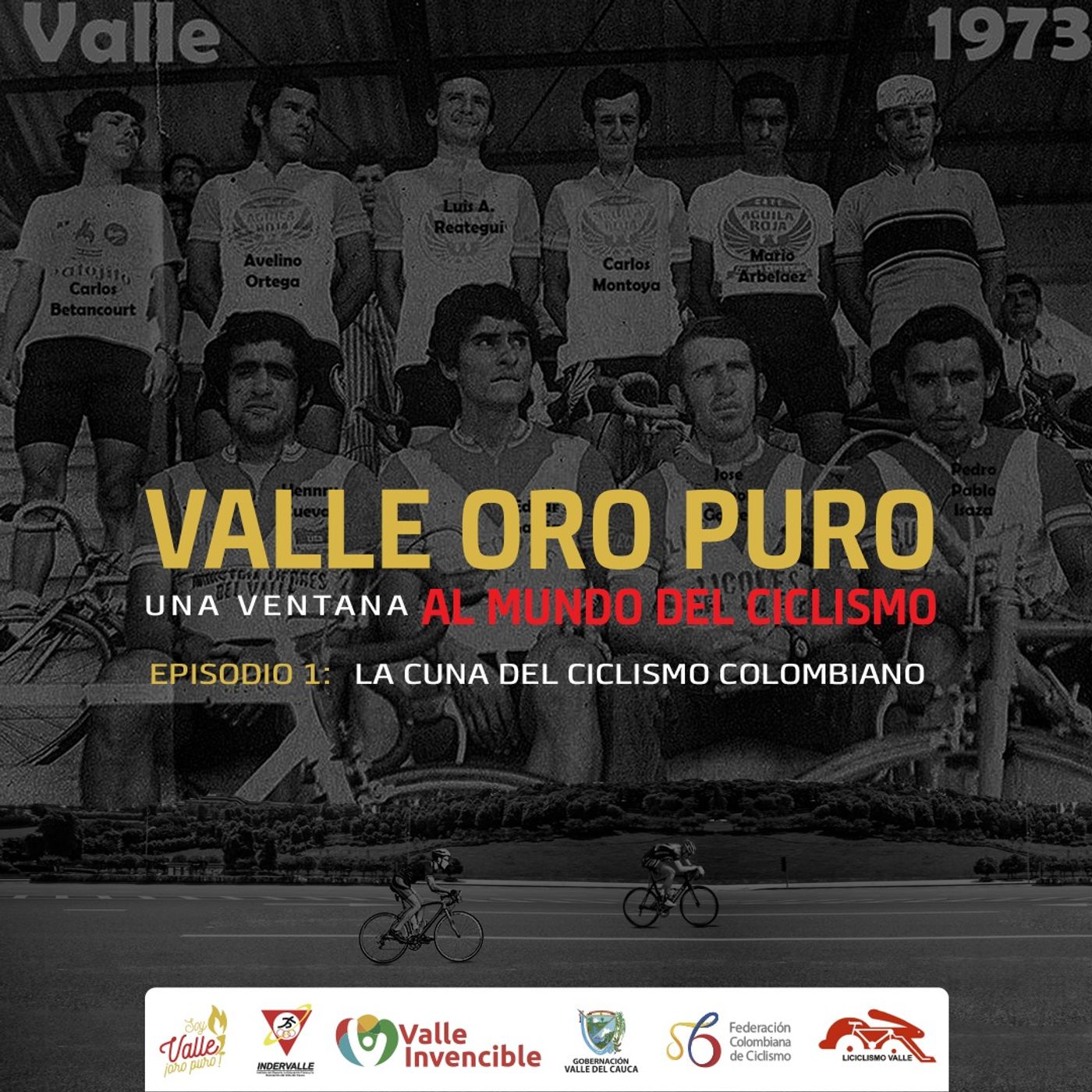 Vici: Valle Irradia Ciclismo