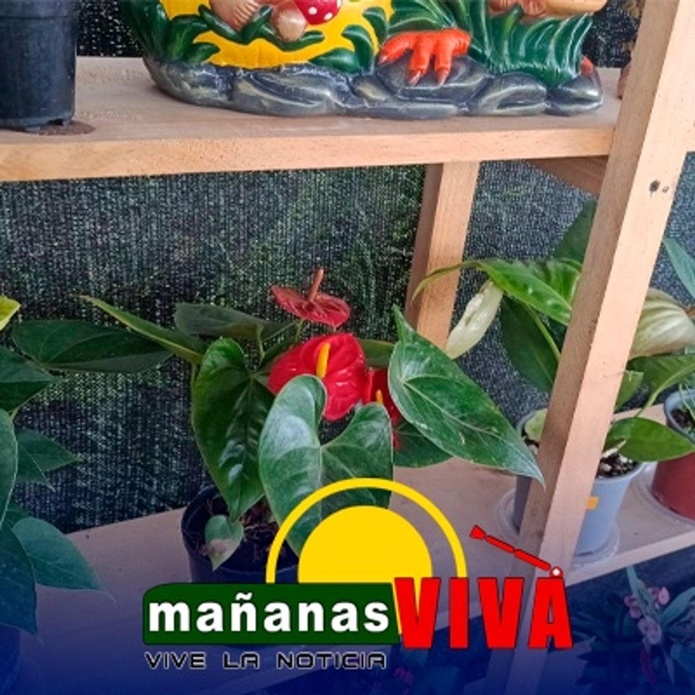 Invitan a disfrutar del vivero y estadero pastaran en Córdoba – Nariño episode artwork
