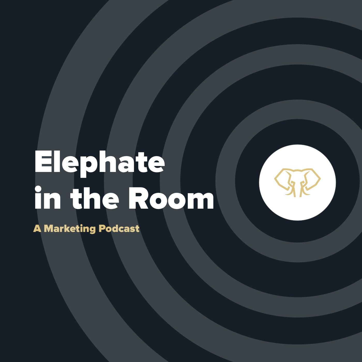 Elephate in the Room