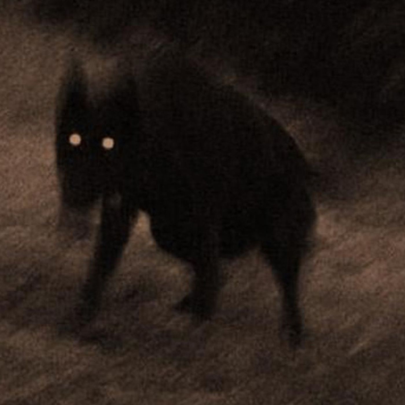 TheCreaturesDiary