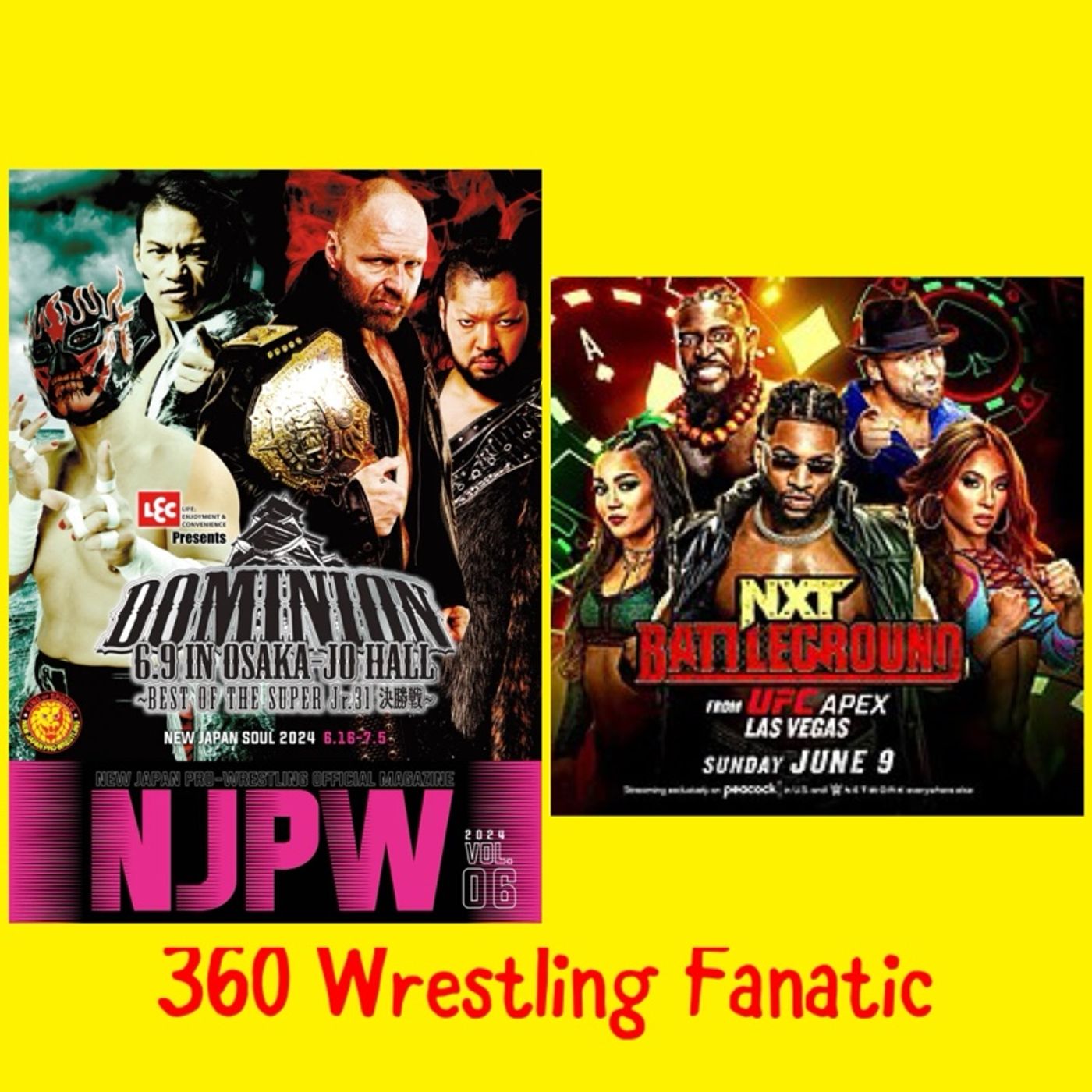 360 Wrestling Fanatic 614 episode artwork
