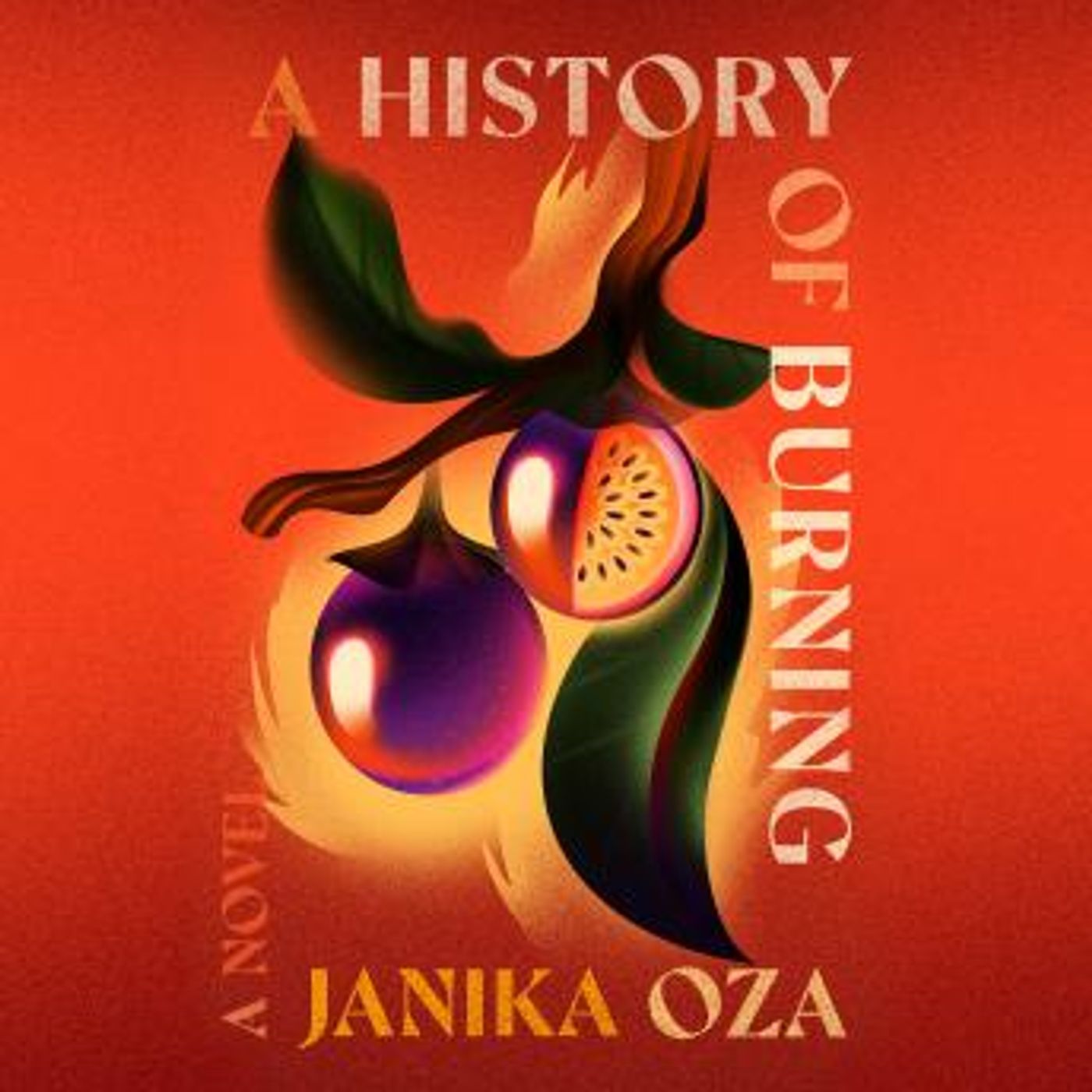 Listen to Trending Full Audiobooks in Fiction, Drama