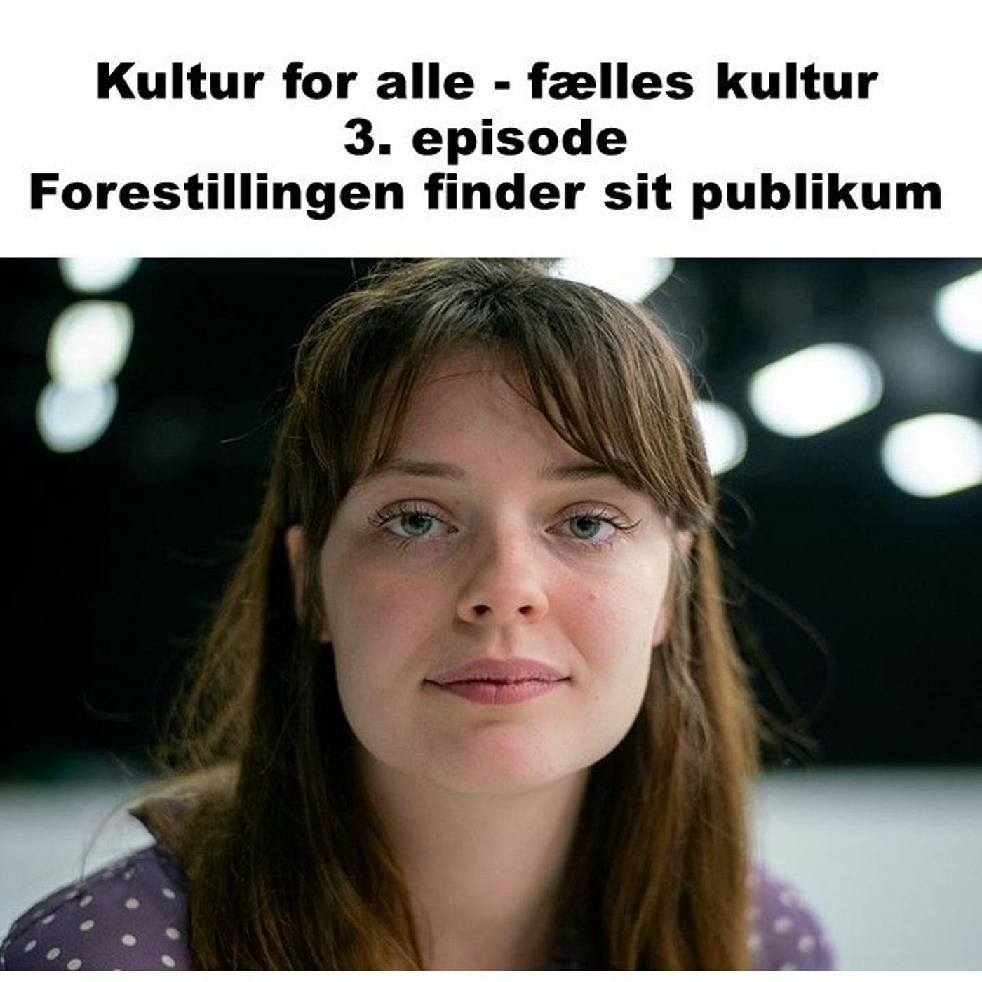 Kultur for alle - fælles kultur, 3. episode - Forestillingen finder sit publikum