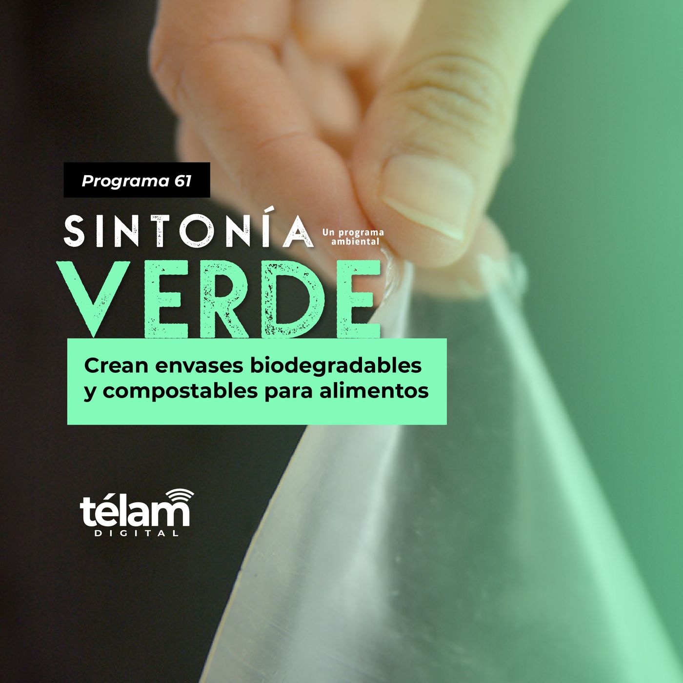 cover of episode Crean envases biodegradables y compostables para alimentos