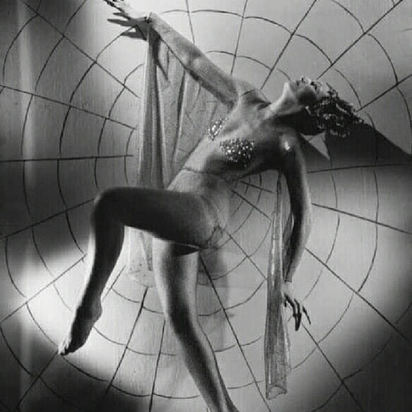 El Carrusel De La Araña
