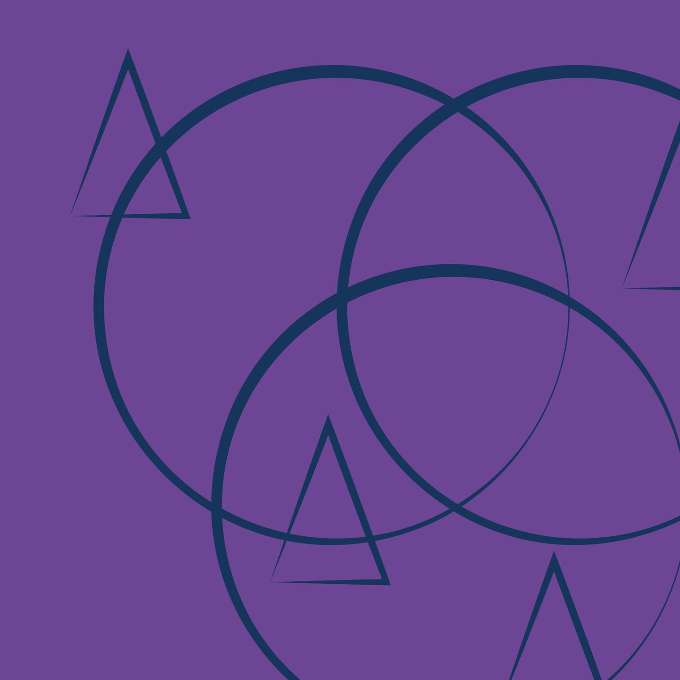 Episodio 4 - L'ecosistema, il cerchio concentrico più vasto