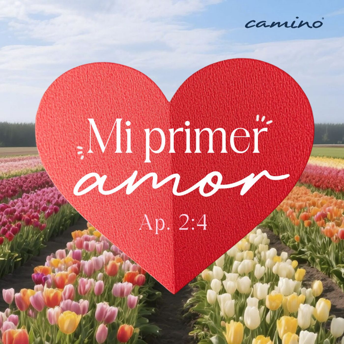 Oración 13 de febrero (Mi primer amor) episode artwork