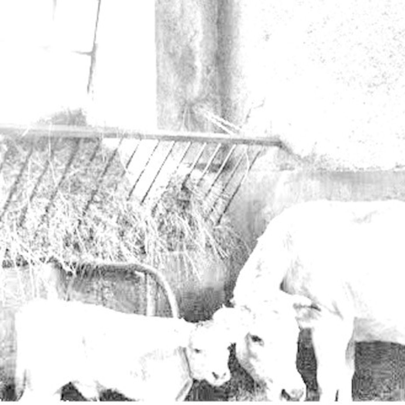 VIAGGIO NEL TEMPO CON L\'AGRICOLTURA