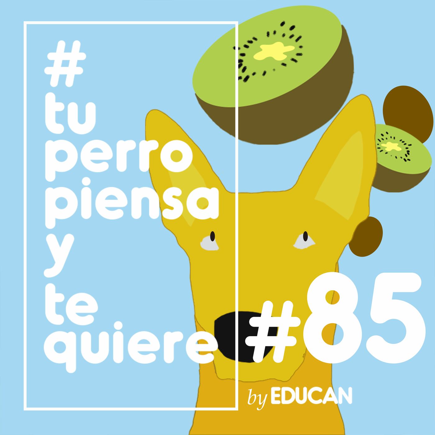 Tu perro piensa y te quiere