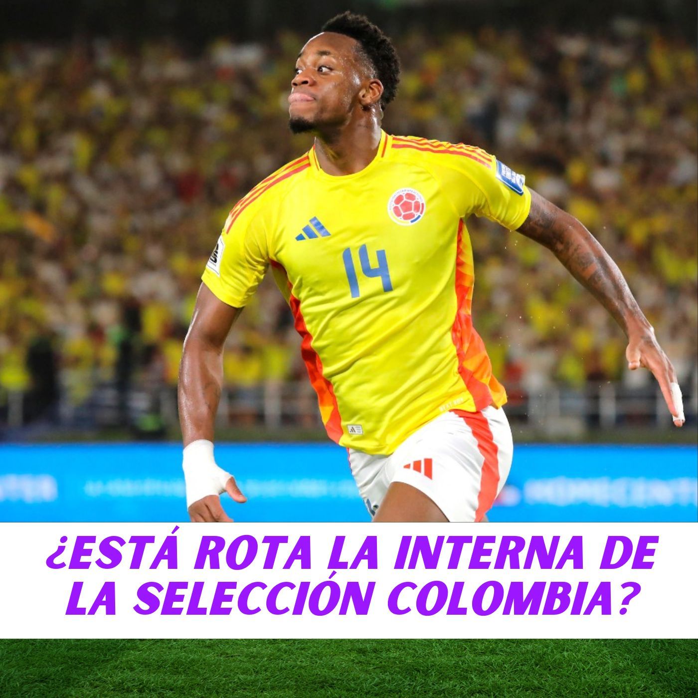 ¿ESTÁ ROTA LA INTERNA DE LA SELECCIÓN COLOMBIA?