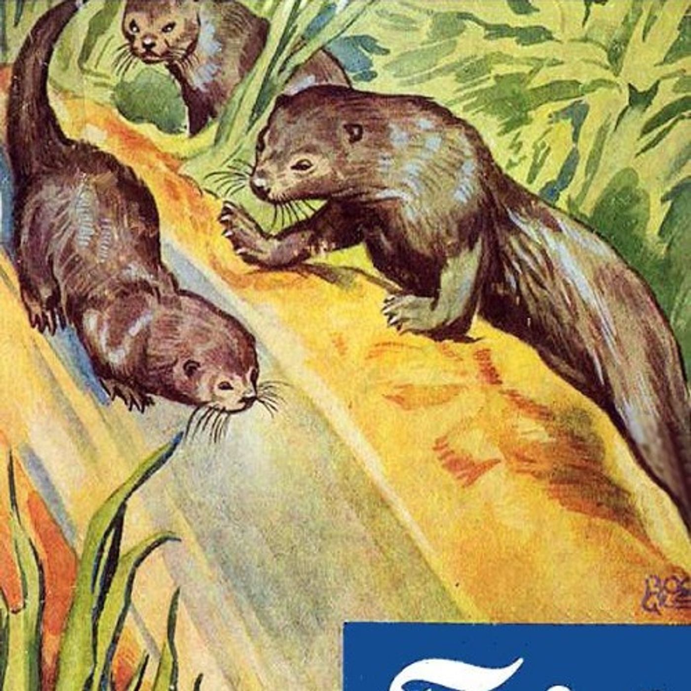 Historias de los Libros