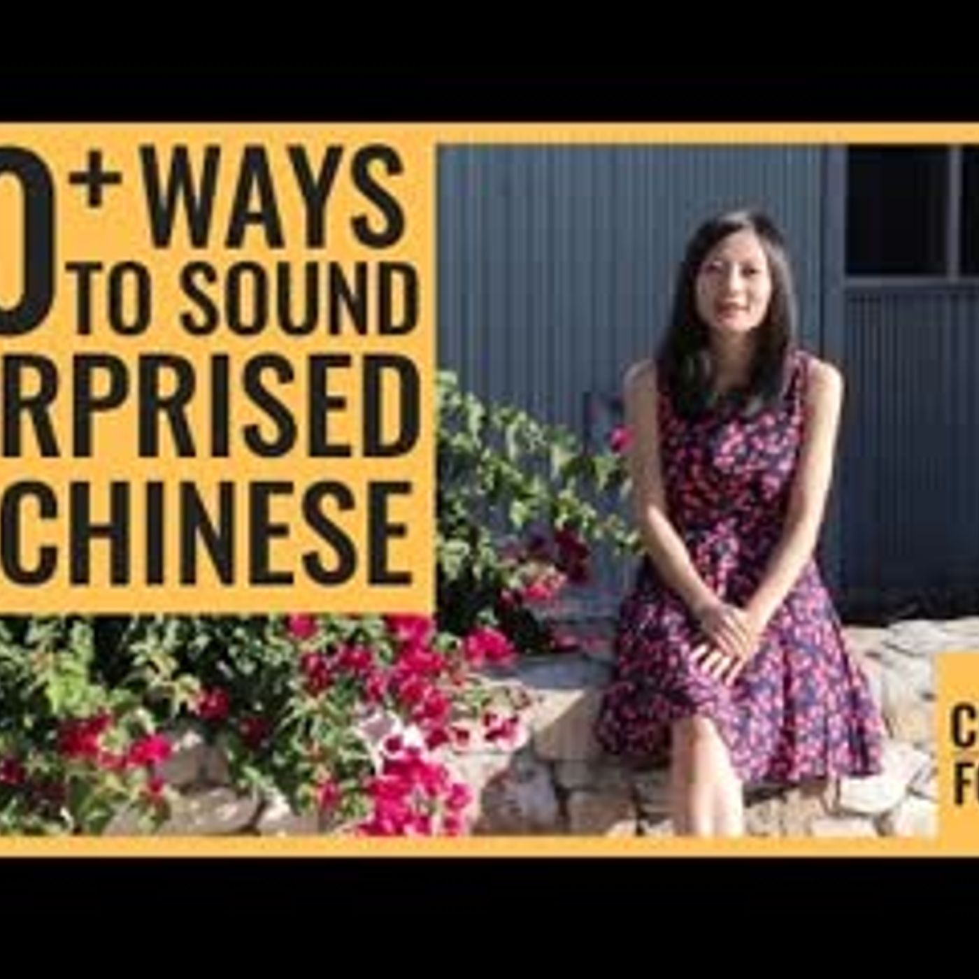 18 Ways to Say Really in Chinese   Express Surprise in Chinese episode artwork
