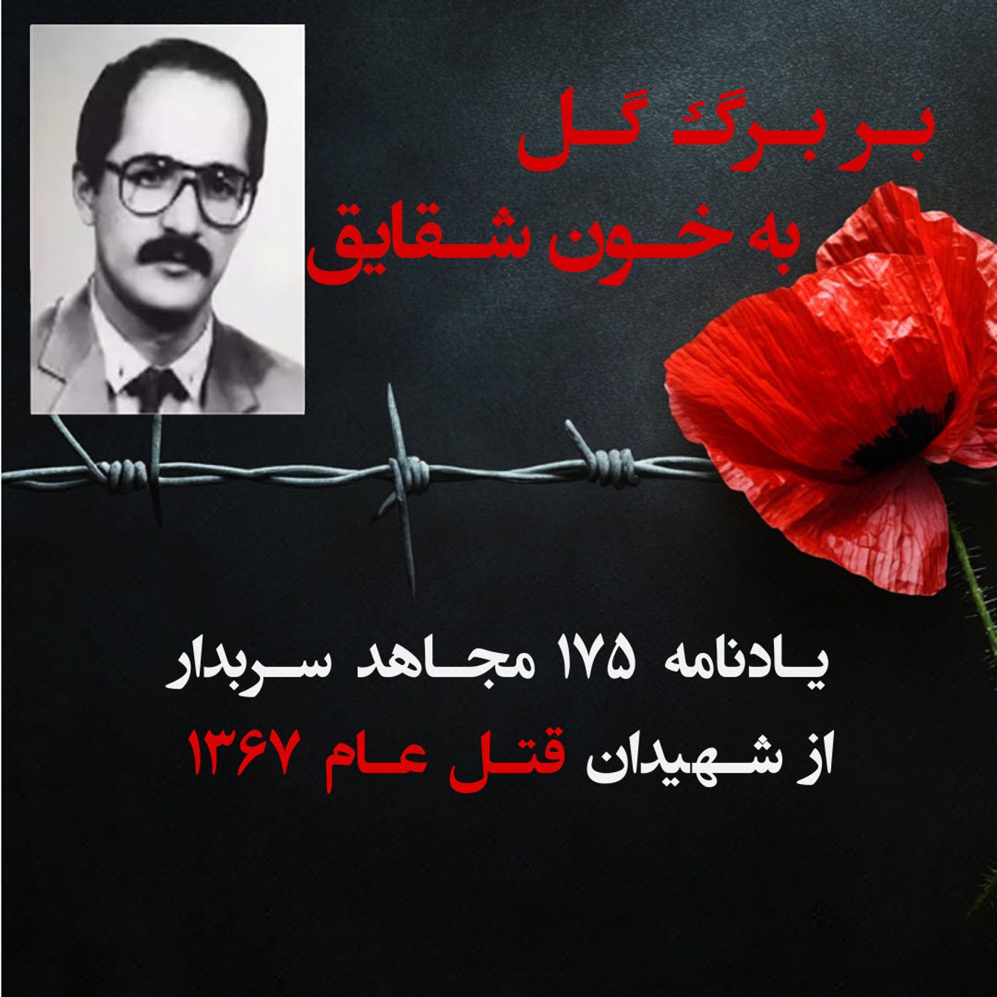 بربرگ گل به خون شقایق-محمدرضا صادقی episode artwork