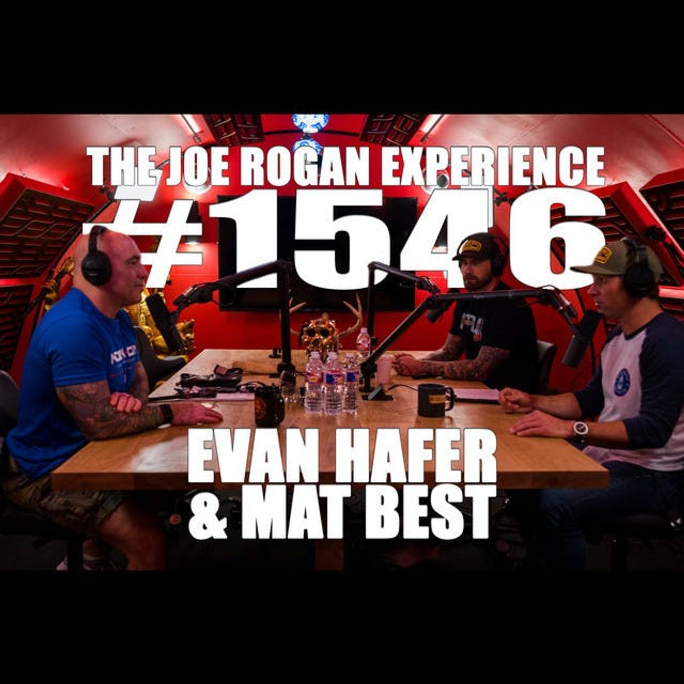The Joe Rogan Experience