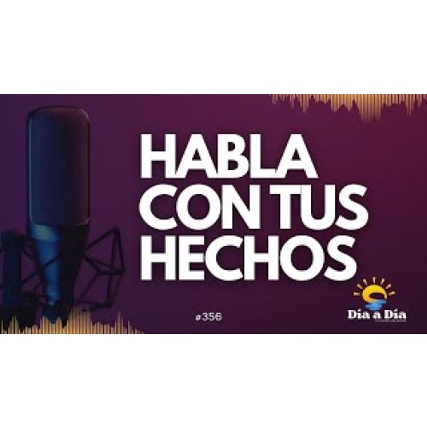 Habla con tus hechos - Día a día 356 episode artwork