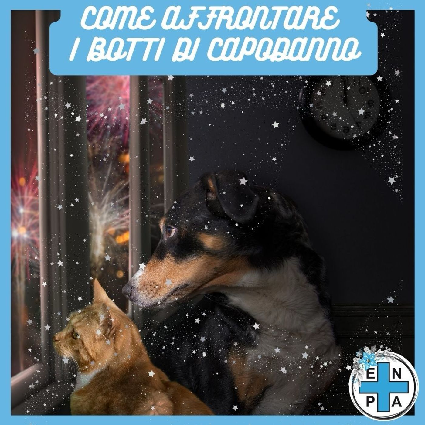 Enpa speciale Natale, vademecum su come affrontare i botti di Capodanno episode artwork