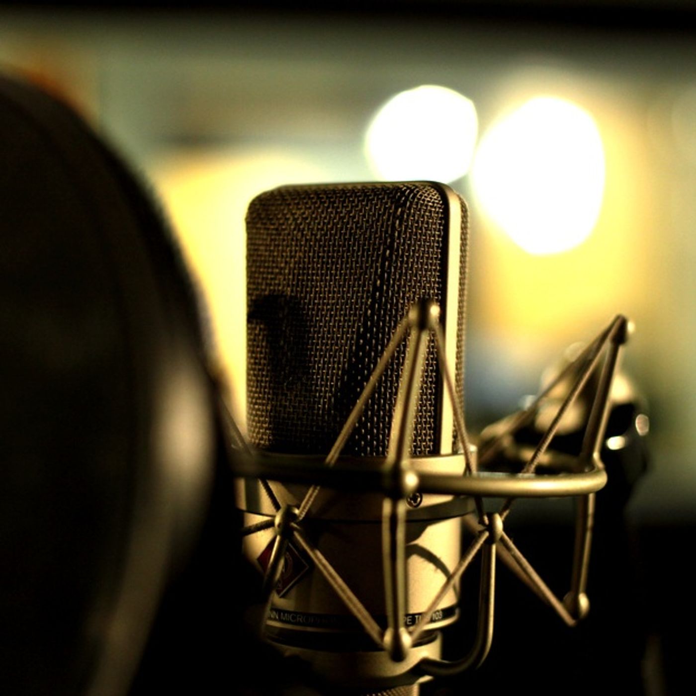 Voiceover Sermons with Terry Daniel
