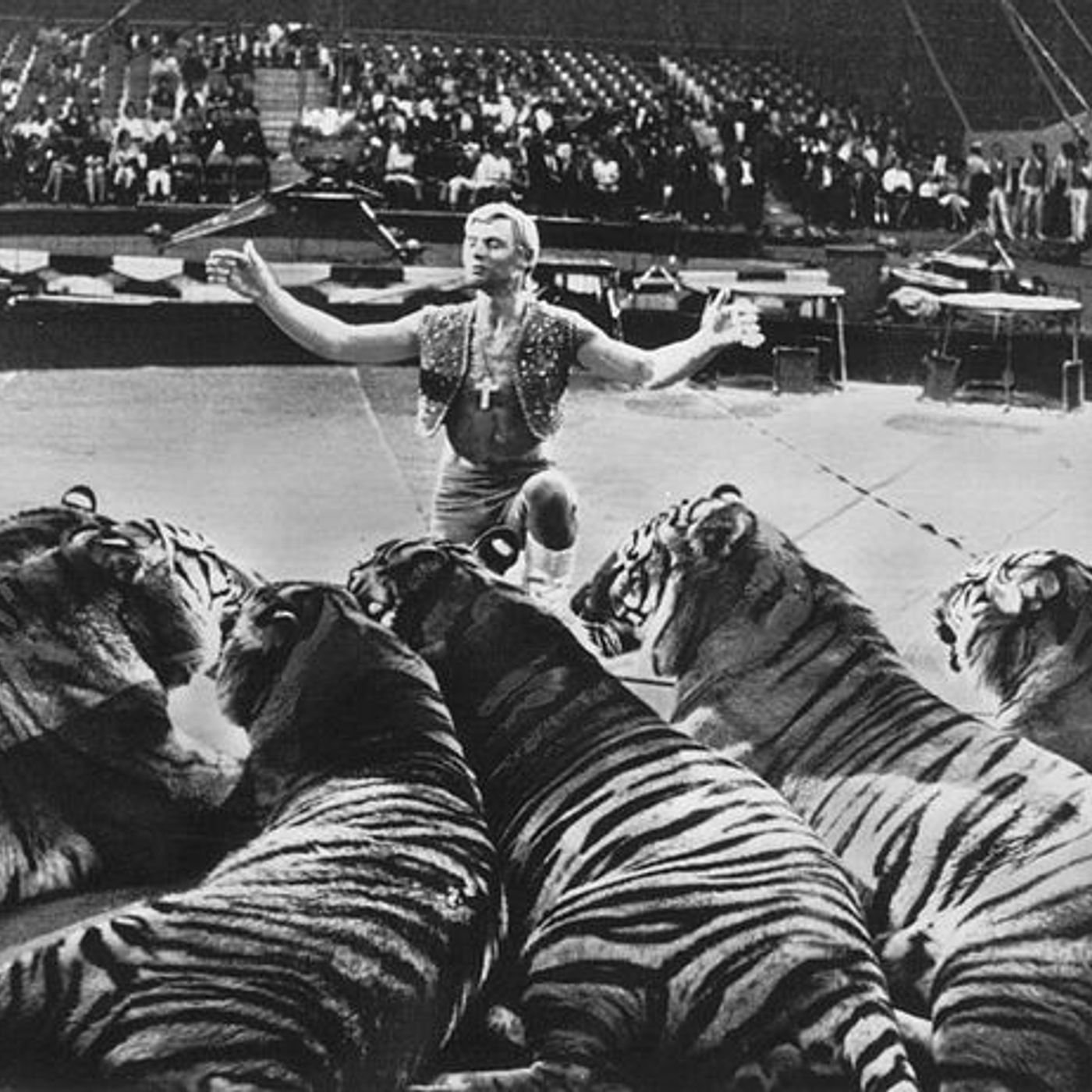 HISTORIAS DE CIRCO
