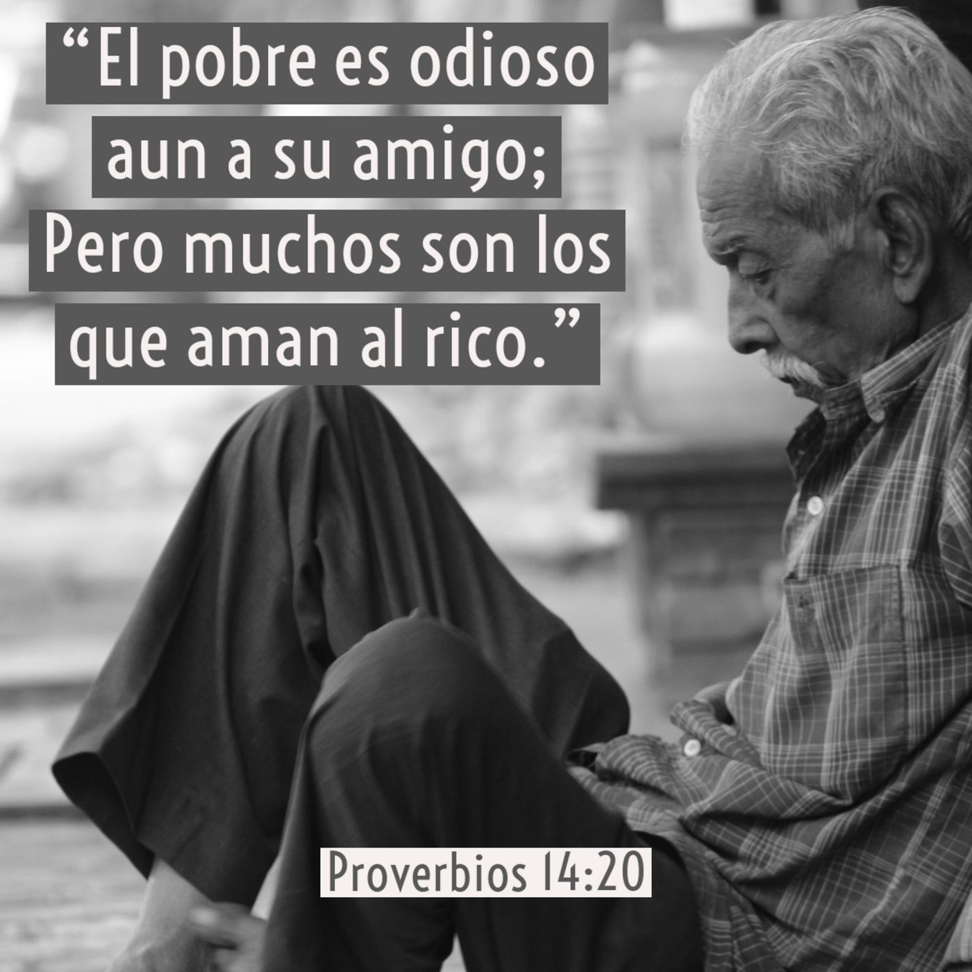 Joyas de Sabiduría (Libro de Proverbios)