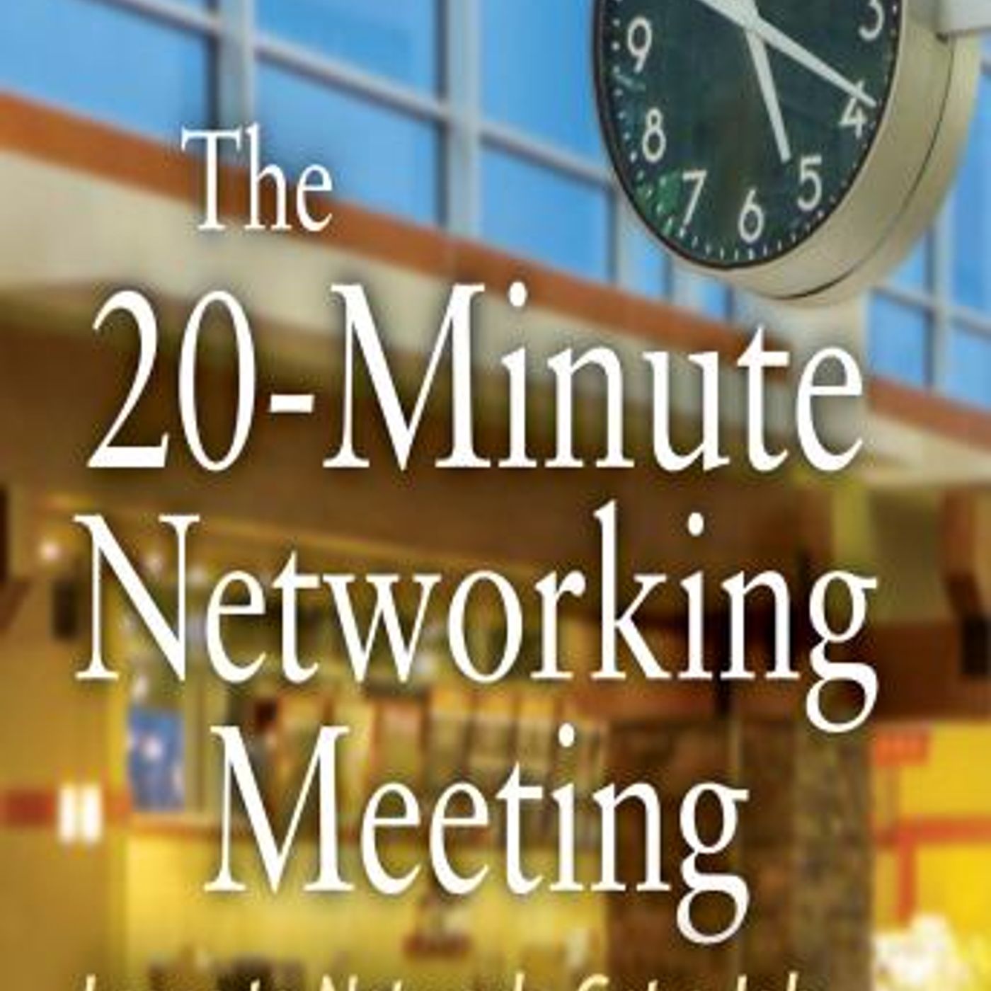 The 20-Minute Networking Meeting - Professional Edition by Nathan A. Perez, Marcia Ballinger episode artwork