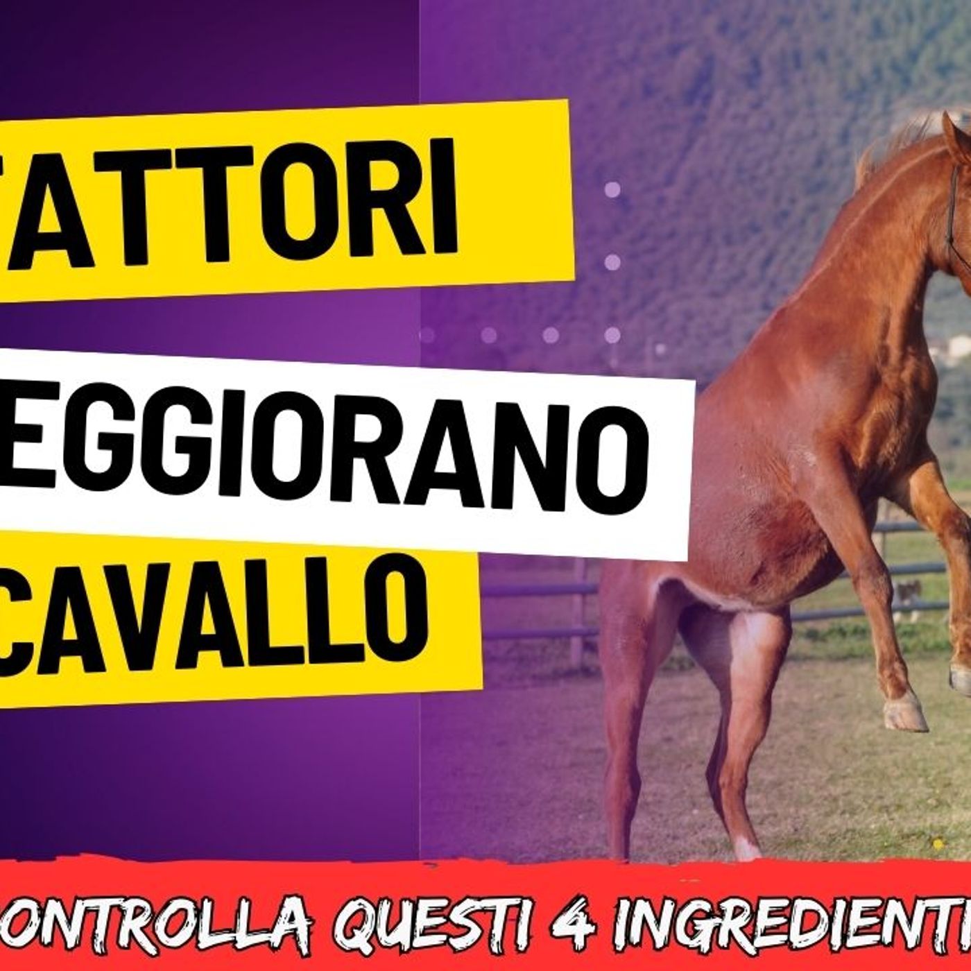 # 159 - I 4 fattori che peggiorano un cavallo