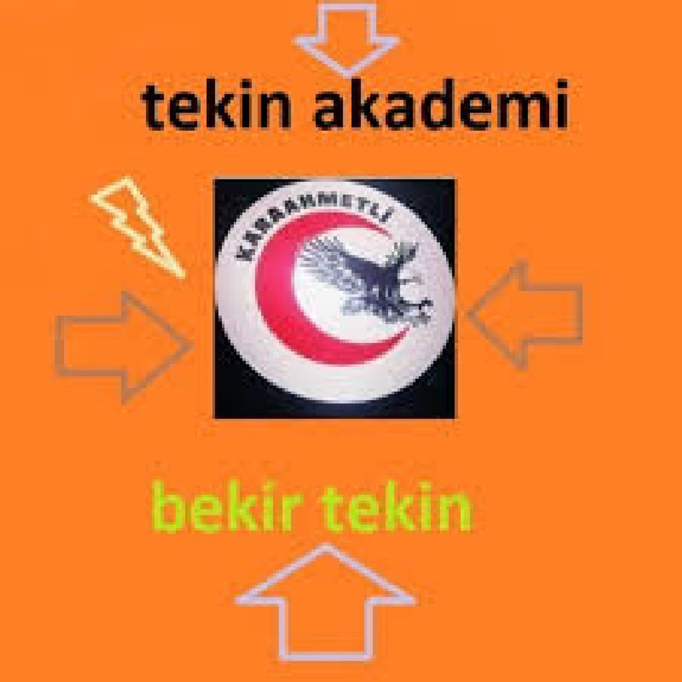 Tekin Akademi\'s show
